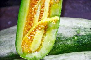 威海吃瓜网红是谁啊,她是如何成为当地热门话题的？”  第3张