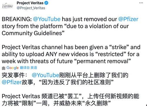 辉瑞高管 爆料新闻视频,揭秘疫苗研发内幕与行业真相 第3张 辉瑞高管 爆料新闻视频,揭秘疫苗研发内幕与行业真相 第3张