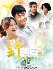 野鸭子第二部全集在线观看,感人至深的亲情与成长之旅