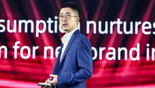 阿里和蒋凡最新爆料视频,揭秘与马云的冲突与真相 第3张 阿里和蒋凡最新爆料视频,揭秘与马云的冲突与真相 第3张